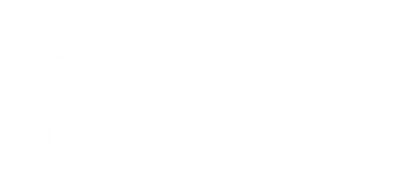 Fit Engineer