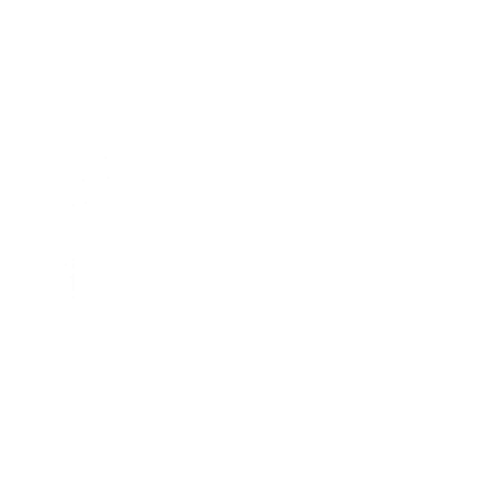 Fit Engineer